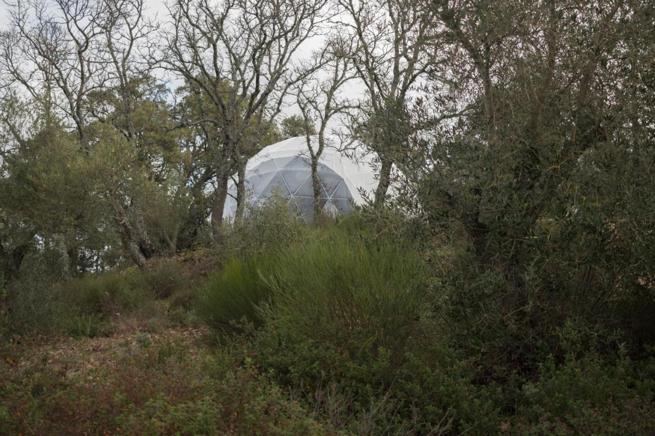 Alojamiento Rural Camino Beturia Cabeza la Vaca Esterno foto